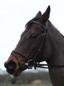 Image 46 in OVERA FARM STUD. CHRISTMAS DRESSAGE 21 DEC 2014