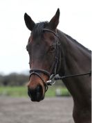 Image 48 in OVERA FARM STUD. CHRISTMAS DRESSAGE 21 DEC 2014