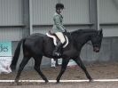 Image 52 in OVERA FARM STUD. CHRISTMAS DRESSAGE 21 DEC 2014