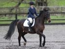 Image 53 in OVERA FARM STUD. CHRISTMAS DRESSAGE 21 DEC 2014