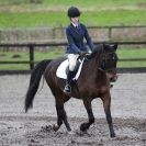 Image 54 in OVERA FARM STUD.  CHRISTMAS DRESSAGE 21 DEC 2014