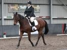 Image 70 in OVERA FARM STUD. CHRISTMAS DRESSAGE 21 DEC 2014