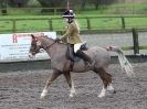 Image 74 in OVERA FARM STUD. CHRISTMAS DRESSAGE 21 DEC 2014
