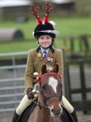 Image 75 in OVERA FARM STUD. CHRISTMAS DRESSAGE 21 DEC 2014