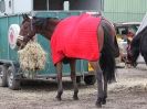 Image 82 in OVERA FARM STUD.  CHRISTMAS DRESSAGE 21 DEC 2014