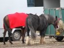Image 86 in OVERA FARM STUD. CHRISTMAS DRESSAGE 21 DEC 2014