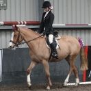 Image 87 in OVERA FARM STUD. CHRISTMAS DRESSAGE 21 DEC 2014