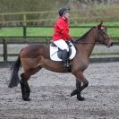 Image 91 in OVERA FARM STUD. CHRISTMAS DRESSAGE 21 DEC 2014