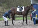 Image 92 in OVERA FARM STUD. CHRISTMAS DRESSAGE 21 DEC 2014