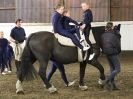 Image 30 in VAULTING: PAKEFIELD RIDING SCHOOL 14 DEC 2014