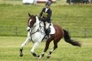 Image 15 in BURNHAM MARKET INTERNATIONAL HORSE TRIALS. SEPT2012