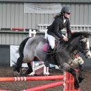 Image 23 in OVERA FARM STUD  4/1/2015  SHOW JUMPING  CLASS  2