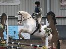 Image 27 in OVERA FARM STUD  NSEA SHOW JUMPING  11 JAN. 2015