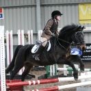 Image 34 in OVERA FARM STUD NSEA SHOW JUMPING 11 JAN. 2015