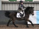 Image 36 in OVERA FARM STUD NSEA SHOW JUMPING 11 JAN. 2015