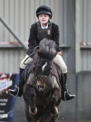 Image 62 in OVERA FARM STUD  NSEA SHOW JUMPING  11 JAN. 2015