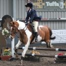 Image 64 in OVERA FARM STUD  NSEA SHOW JUMPING  11 JAN. 2015