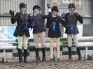 Image 69 in OVERA FARM STUD NSEA SHOW JUMPING 11 JAN. 2015