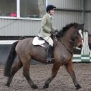 Image 89 in OVERA FARM STUD  NSEA SHOW JUMPING  11 JAN. 2015