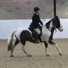 Image 10 in WAVENEY HARRIERS HUNTING SHOW  18 JAN 2015.  CLASS ONE.