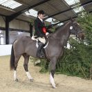 Image 3 in WAVENEY HARRIERS SHOW.  CLASS TWO