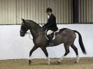 Image 4 in WAVENEY HARRIERS SHOW.  CLASS TWO