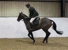 Image 5 in WAVENEY HARRIERS SHOW.  CLASS TWO