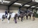 Image 11 in WAVENEY HARRIERS SHOW.  CLASS 3.