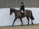 Image 5 in WAVENEY HARRIERS SHOW.  CLASS 3.