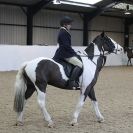 Image 8 in WAVENEY HARRIERS SHOW.  CLASS 3.