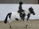 WAVENEY HARRIERS SHOW.  CLASS  FOUR. 