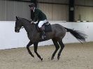 Image 5 in WAVENEY HARRIERS SHOW.  CLASS  FOUR. 