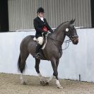 Image 2 in WAVENEY HARRIERS SHOW. CHAMPIONSHIP. ( CLASSES 1-4 )