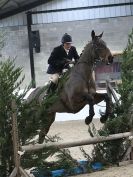 Image 13 in WAVENEY HARRIERS SHOW.  CLASS  FIVE. 