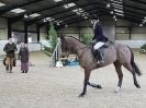 Image 16 in WAVENEY HARRIERS SHOW.  CLASS  FIVE. 