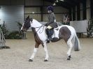 Image 17 in WAVENEY HARRIERS SHOW.  CLASS  FIVE. 