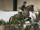 Image 17 in WAVENEY HARRIERS SHOW.  CLASS SIX.