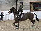 Image 30 in WAVENEY HARRIERS SHOW.  CLASS SIX.