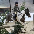 Image 34 in WAVENEY HARRIERS SHOW.  CLASS SIX.