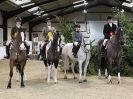 Image 7 in WAVENEY HARRIERS SHOW.  CLASS SIX.