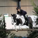 WAVENEY HARRIERS SHOW.  CLASS  SEVEN .