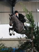 Image 2 in WAVENEY HARRIERS SHOW.  CLASS  SEVEN .