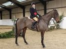 Image 3 in WAVENEY HARRIERS SHOW. CHAMPION AND RESERVE( FROM THE WINNERS OF ALL CLASSES )