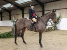 Image 4 in WAVENEY HARRIERS SHOW. CHAMPION AND RESERVE( FROM THE WINNERS OF ALL CLASSES )