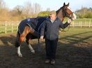 Image 17 in WAVENEY HARRIERS SHOW. SOME OUTDOOR SHOTS.