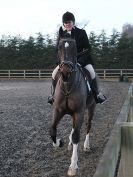 Image 2 in WAVENEY HARRIERS SHOW.  SOME OUTDOOR SHOTS.