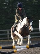 Image 36 in WAVENEY HARRIERS SHOW.  SOME OUTDOOR SHOTS.