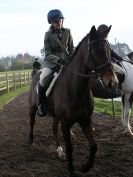 Image 4 in WAVENEY HARRIERS SHOW. SOME OUTDOOR SHOTS.
