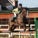 Image 6 in BROADS EC SENIOR BRITISH SHOW JUMPING ( CLASS 3 ) 25 JAN. 2015