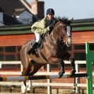 Image 6 in BROADS EC  SENIOR BRITISH SHOW JUMPING ( CLASS 3 ) 25 JAN. 2015